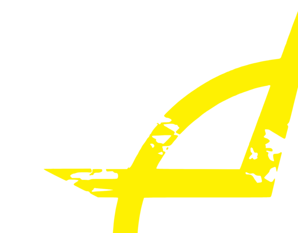 Pelotão Fitness